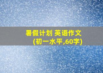 暑假计划 英语作文 (初一水平,60字)